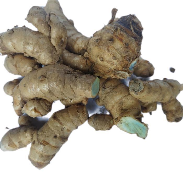 Temu hitam/Temu ireng segar temu hitam atau temu ireng segar 1 kg  DM