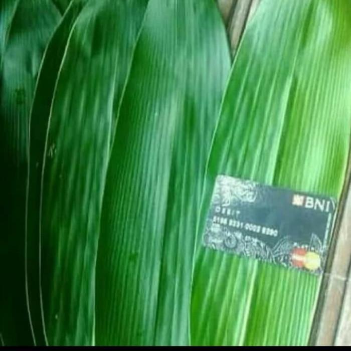 Daun Bambu Untuk Herbal Dan Bungkus Bacang