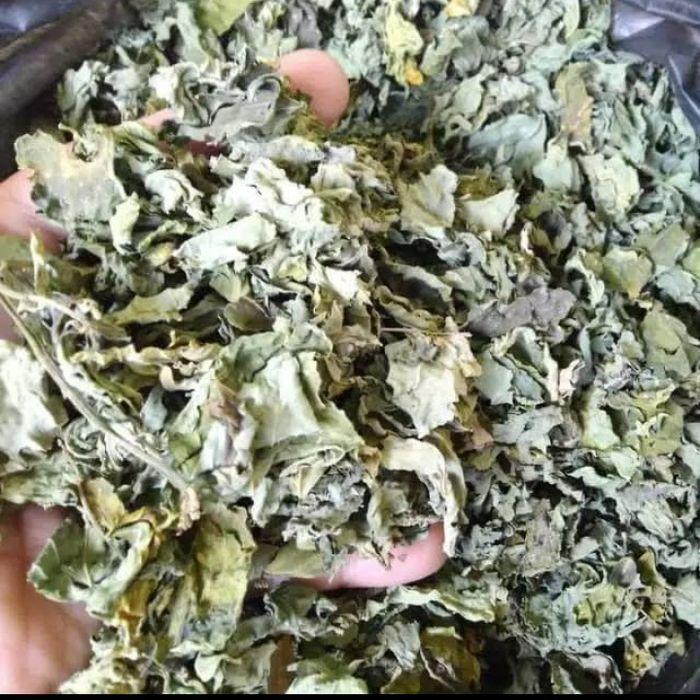 Daun katuk kering 100gram
