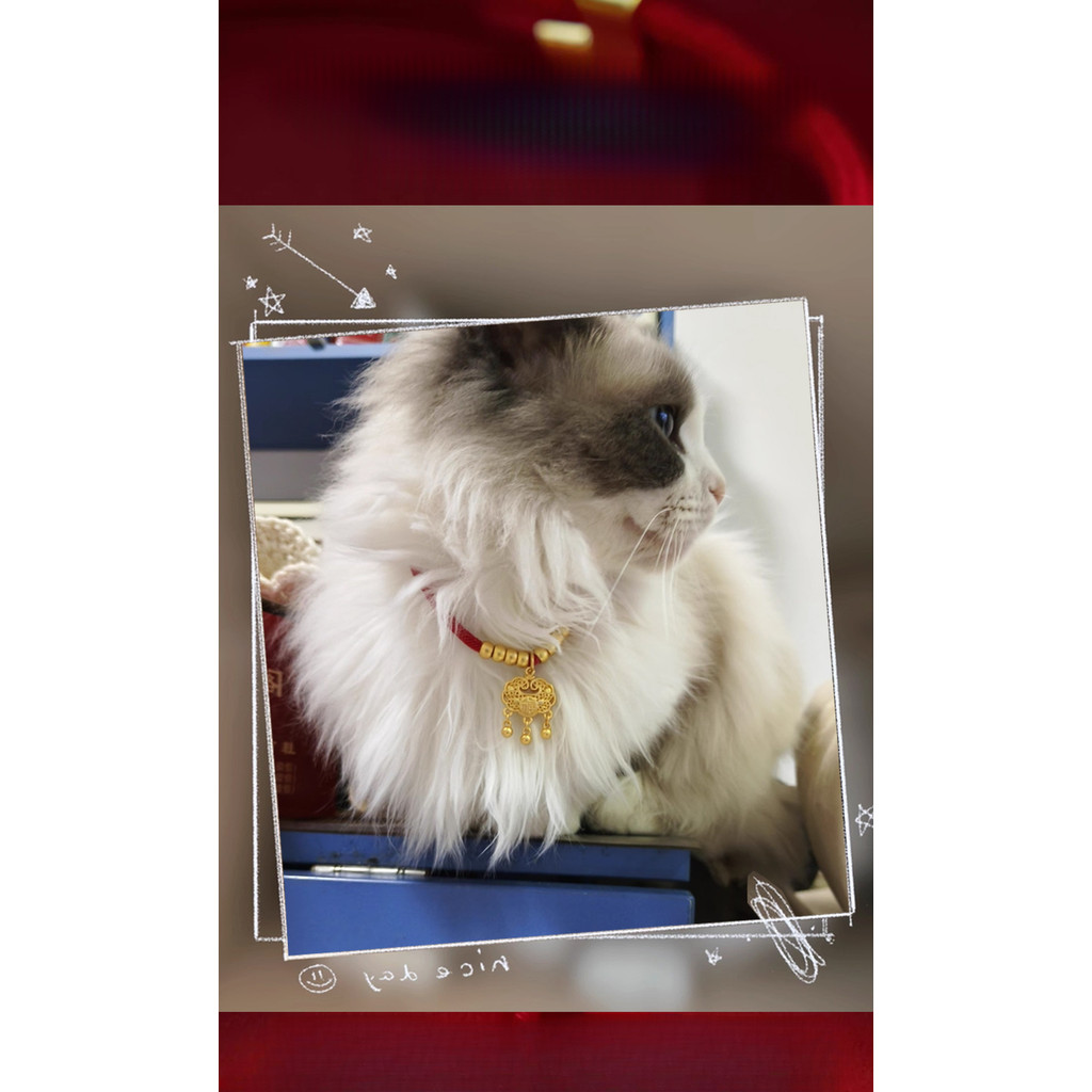 Tail Planet COD  Kalung kucing, lonceng anjing senyap untuk Tahun Baru, kalung kucing pengunci umur 