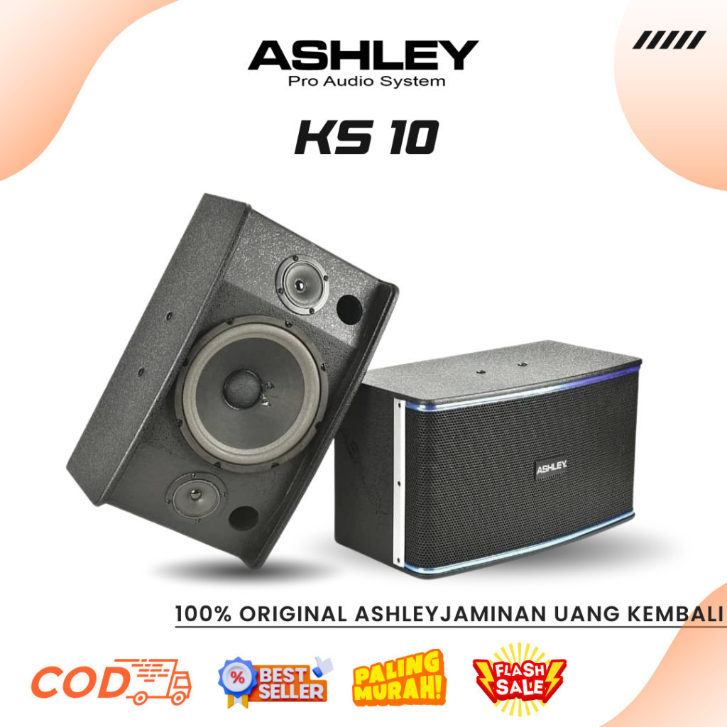 Speaker Karaoke Ashley KS 10 Professional Karaoke Speaker System