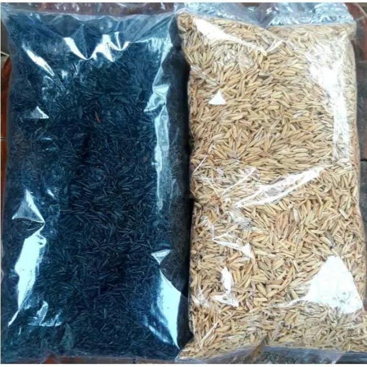 Media Tanam Sekam Padi / Sekam Bakar Penyubur Tanaman