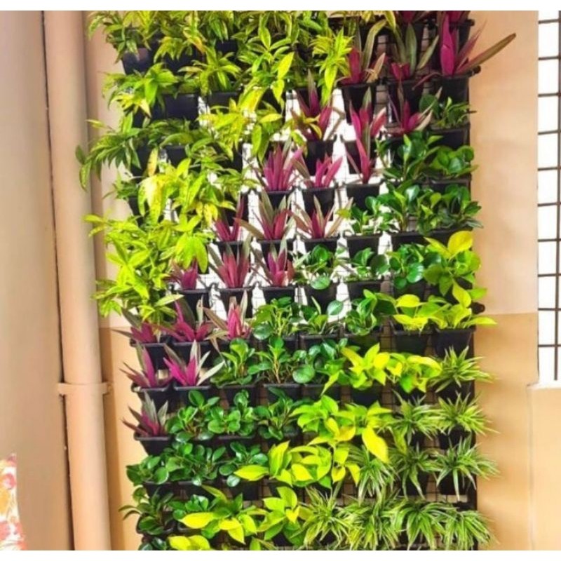 Paket 5 Daun Tanaman Vertical Garden - Vertical Garden Artifisial