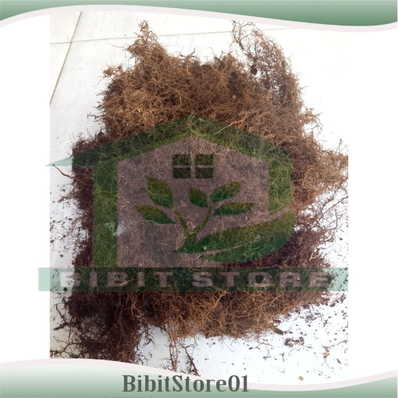 MEDIA TANAM MOS HITAM AKAR KADAKA KEMASAN PLASTIK 1 KG