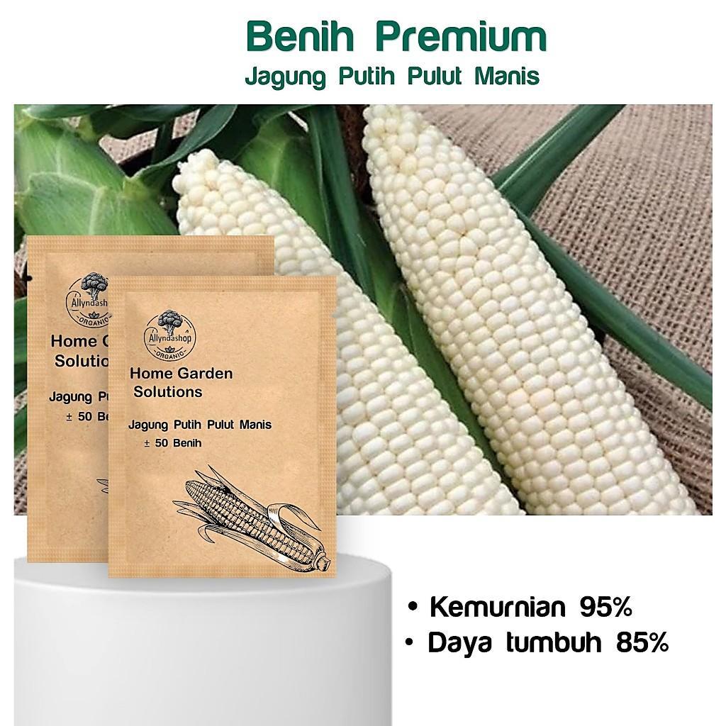 Benih Sayuran Jagung Putih Pulut Manis -MGS