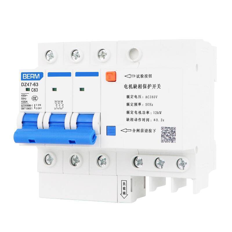 DZ47S-63 ML1E-63 Protector With Air Swit Circuit Breaker 220V Leakage Protection Household 63A DZ47S