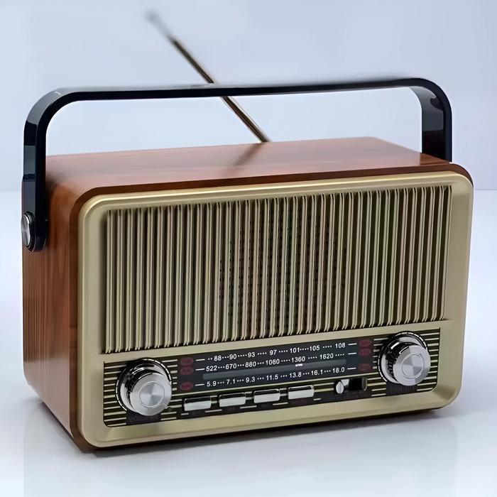 ECHOVERSE TERLARIS~Radio Internasional Fleco F-510T FM/AM/SW Portable Radio Bisa digunakan Untuk Spe