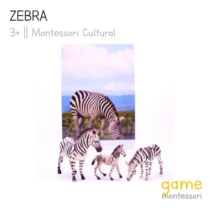Montessori Cultural Wild Animal Zebra