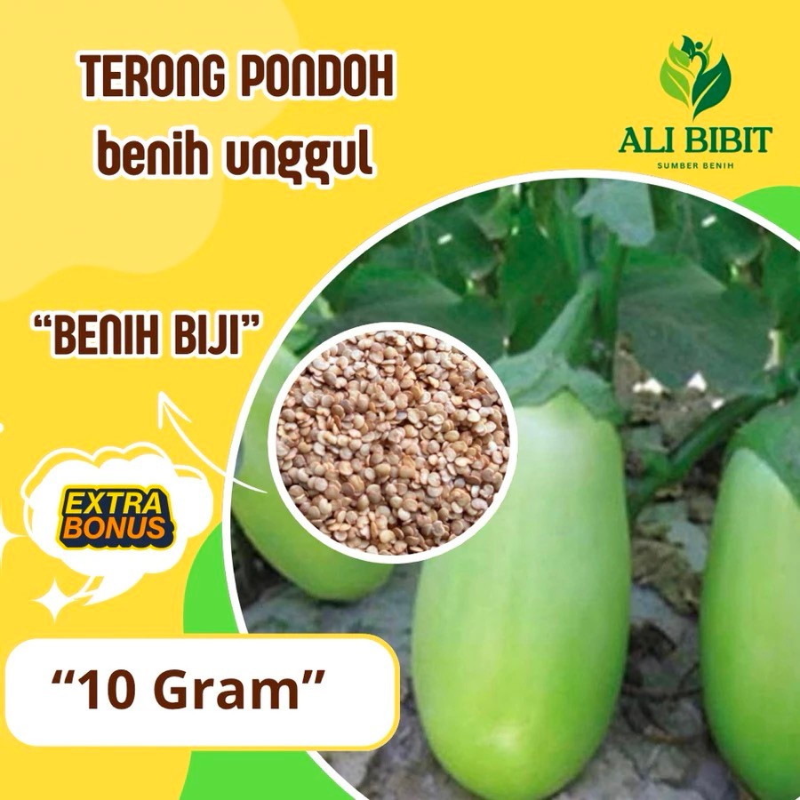50butir > Biji Benih Terong Pondoh >Bibit Terong Pondoh> Bonus Benih