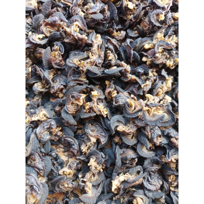 TERBARU Krecek Keripik Bekicot Mentah Siap Goreng 500gram ORIGINAL