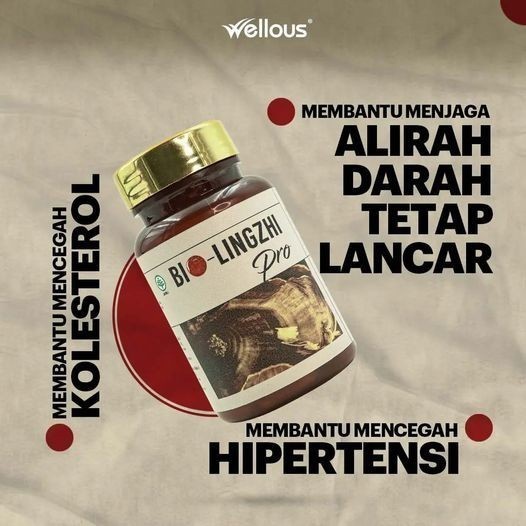 Bio Lingzhi Pro Asli 100% Original Untuk Kesehatan Ginjal BPOM By Izdiihar