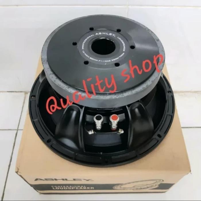 SPEAKER COMPONENT 10 INCH ASHLEY F1-10AZ LINE ARRAY