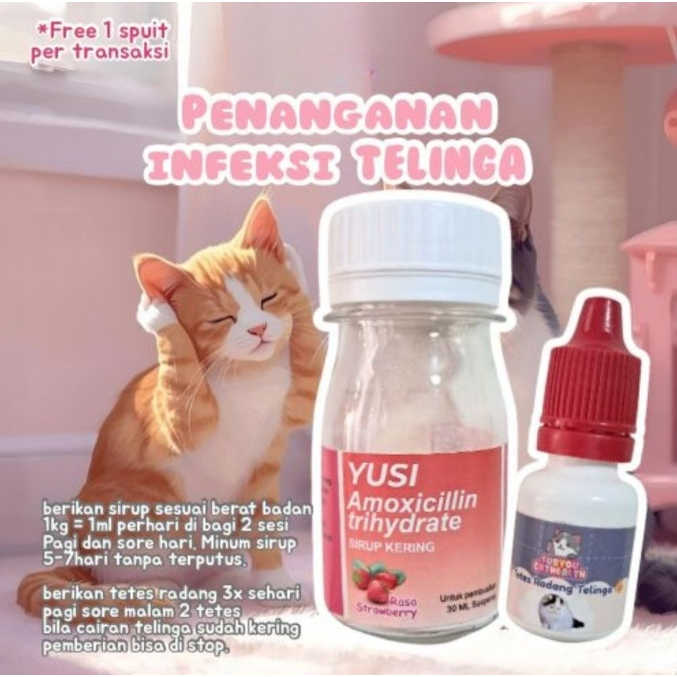 Fur You Paket Perawatan Infeksi Telinga Kucing