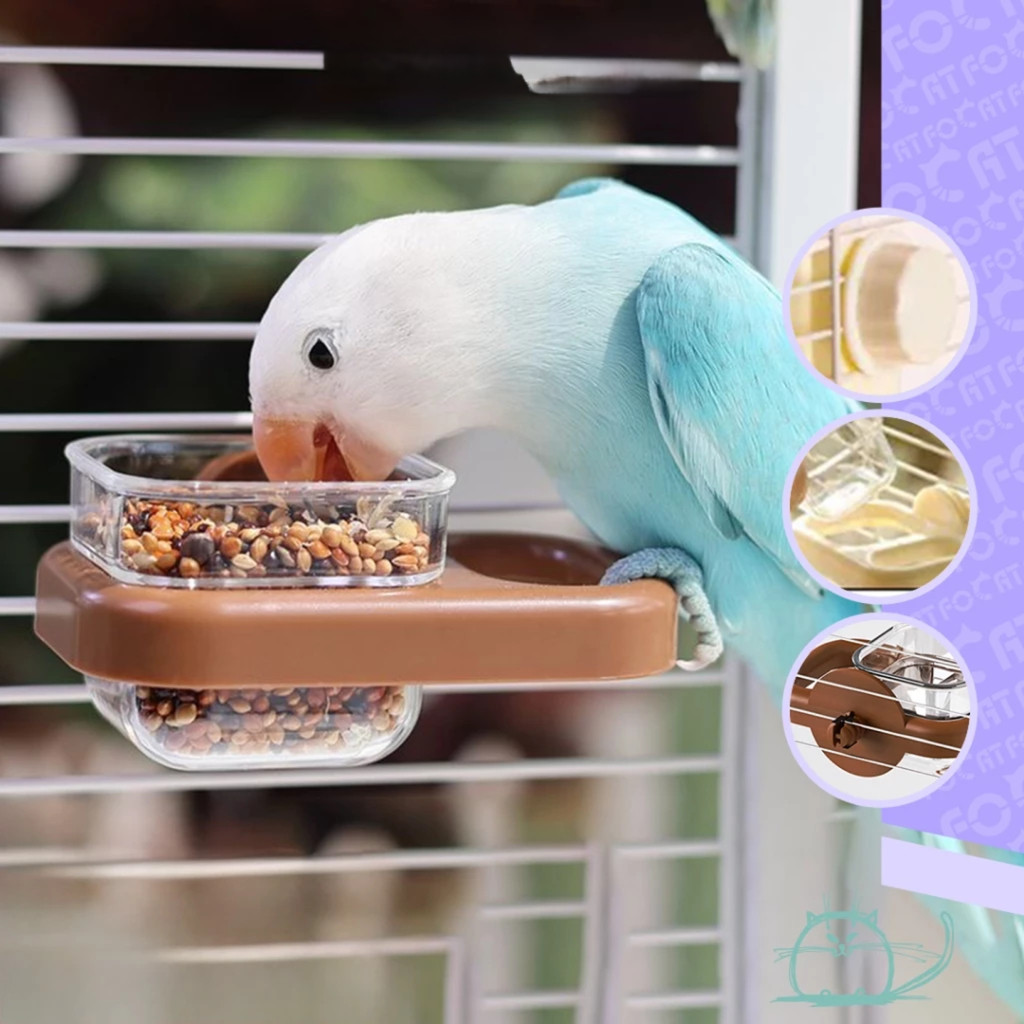F45 Tempat Makan Burung Anti Tumpah Cepuk Wadah Pakan Burung Kecil / Burung Lovebird