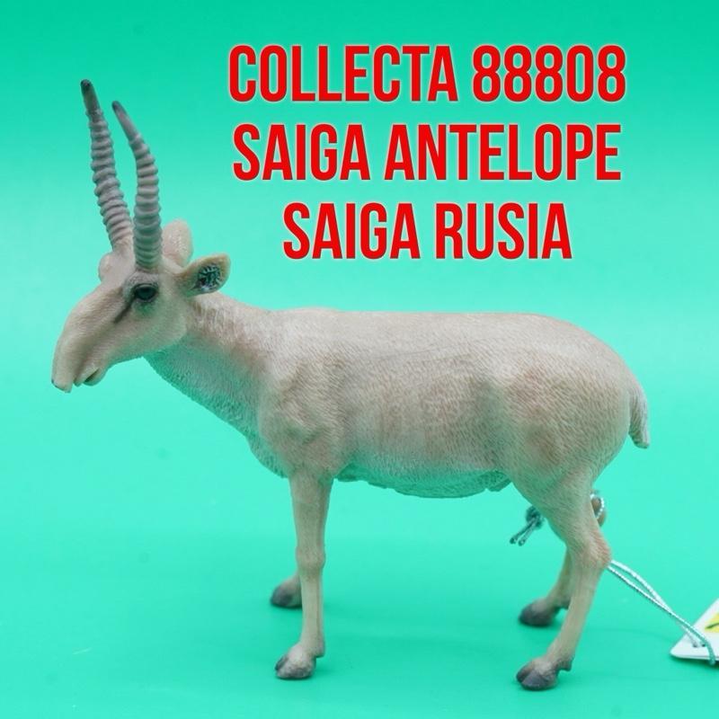 Collecta 88808 Saiga Antelope Antilop Saiga Rusia Antelop Gurun Asia Saiga Tatarica | Mainan Figure 