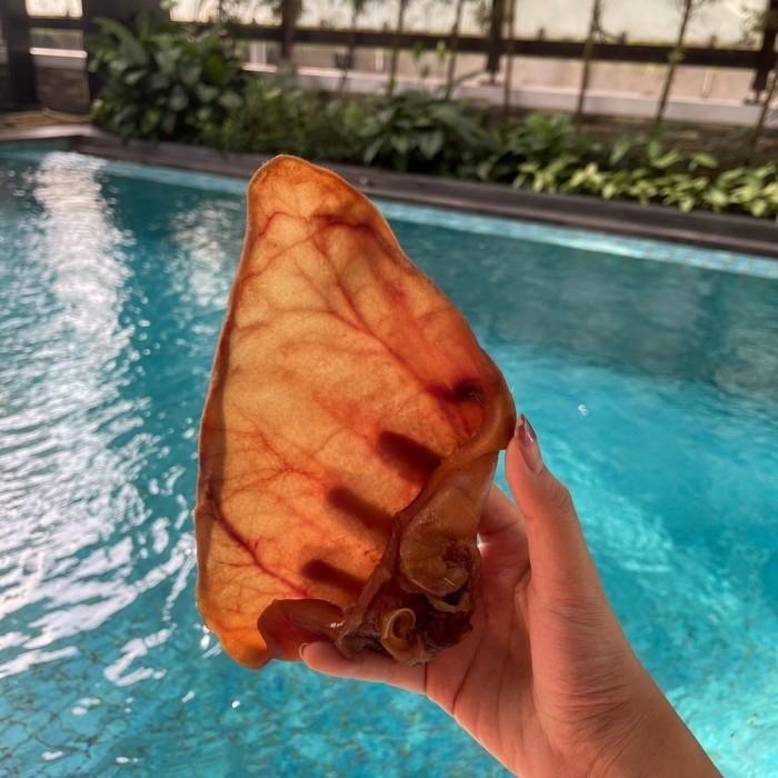 Rocky n Co|Pig Ear Jerky Air Dried Dehydrated Dog Anjing Treats Snack - Strips