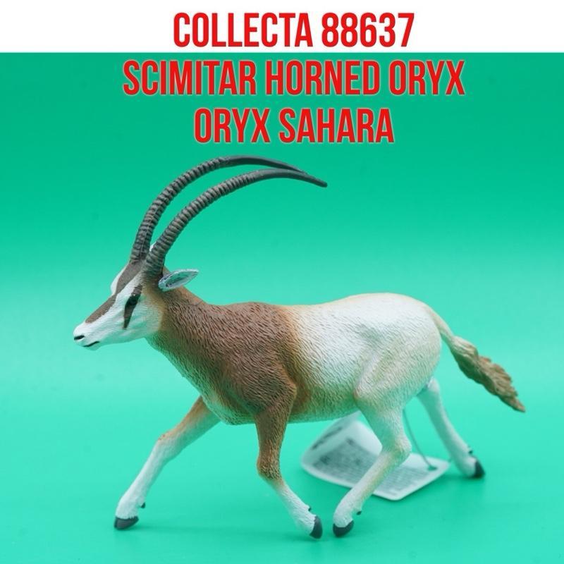 Collecta 88637 Scimitar Horned Oryx Sahara Oryx Bertanduk Pedang Oryx Dammah | Mainan Figure Binatan