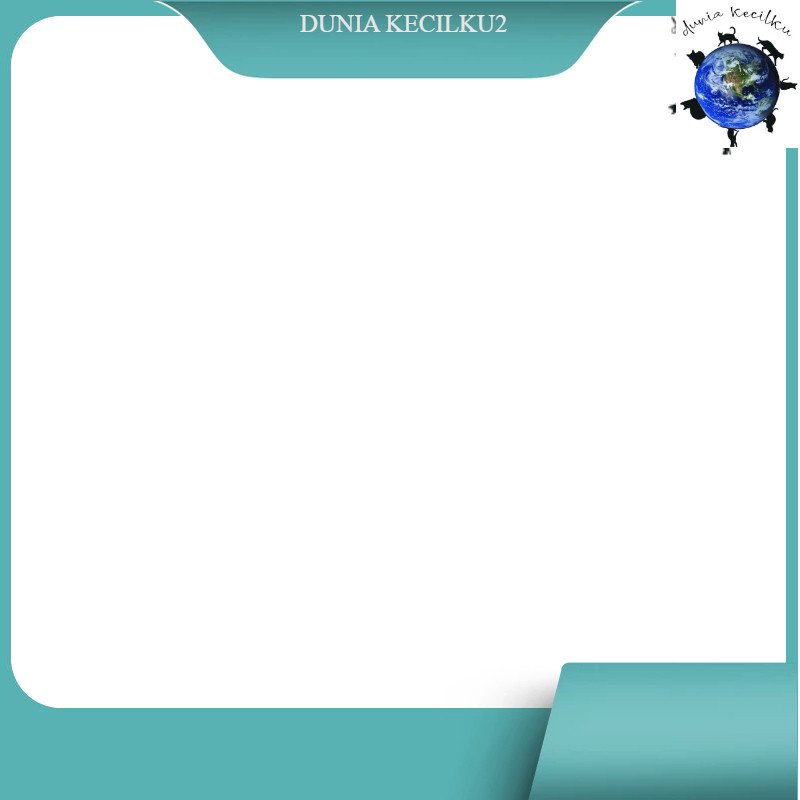 Revolution Cat Blue  / Obat Kutu Kucing 1Tube