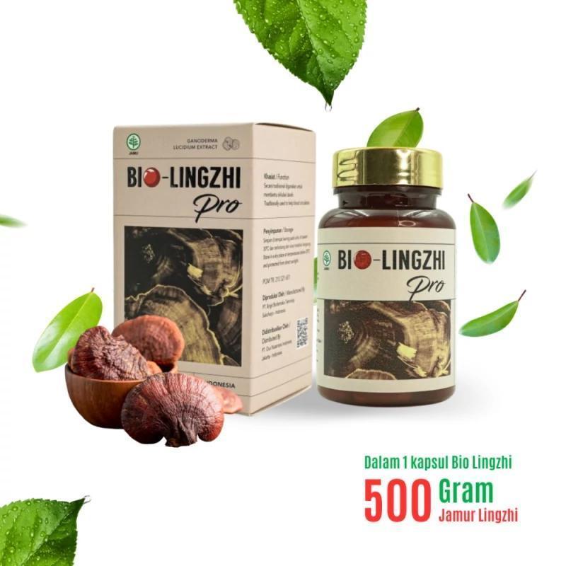 Bio Lingzhi Pro Asli 100% Original Untuk Kesehatan Ginjal BPOM By Import