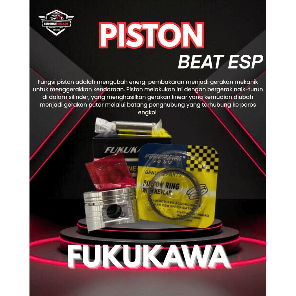 Fukukawa Piston Beat ESP (25)