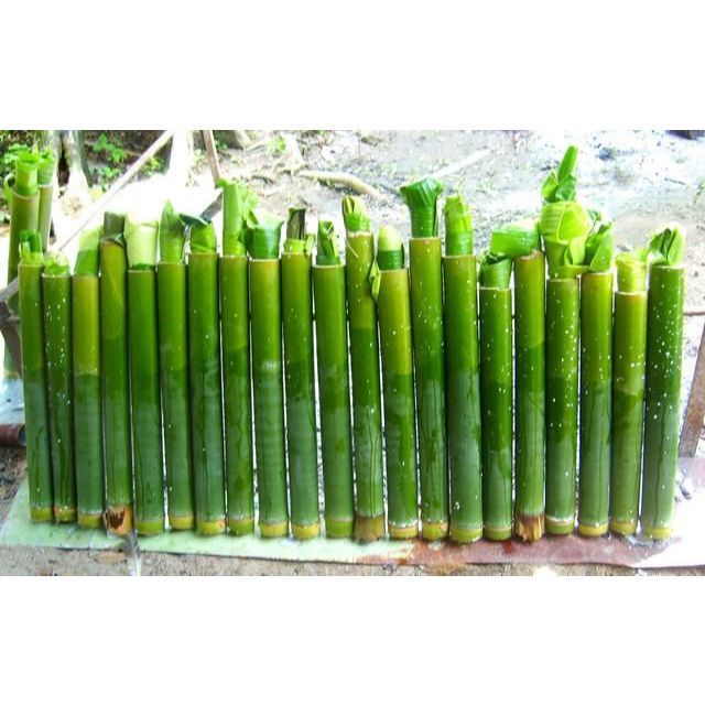 Bambu Bakar Nasi Lemang Lemang Bambu Bambu Jumbo Diameter 9 cm 10 cm