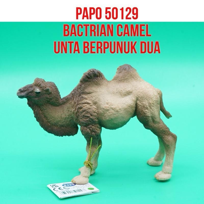 Papo 50129 Bactrian Camel Unta Baktria Unta Berpunuk Dua  Camelus Bactrianus | Mainan Figure Binatan