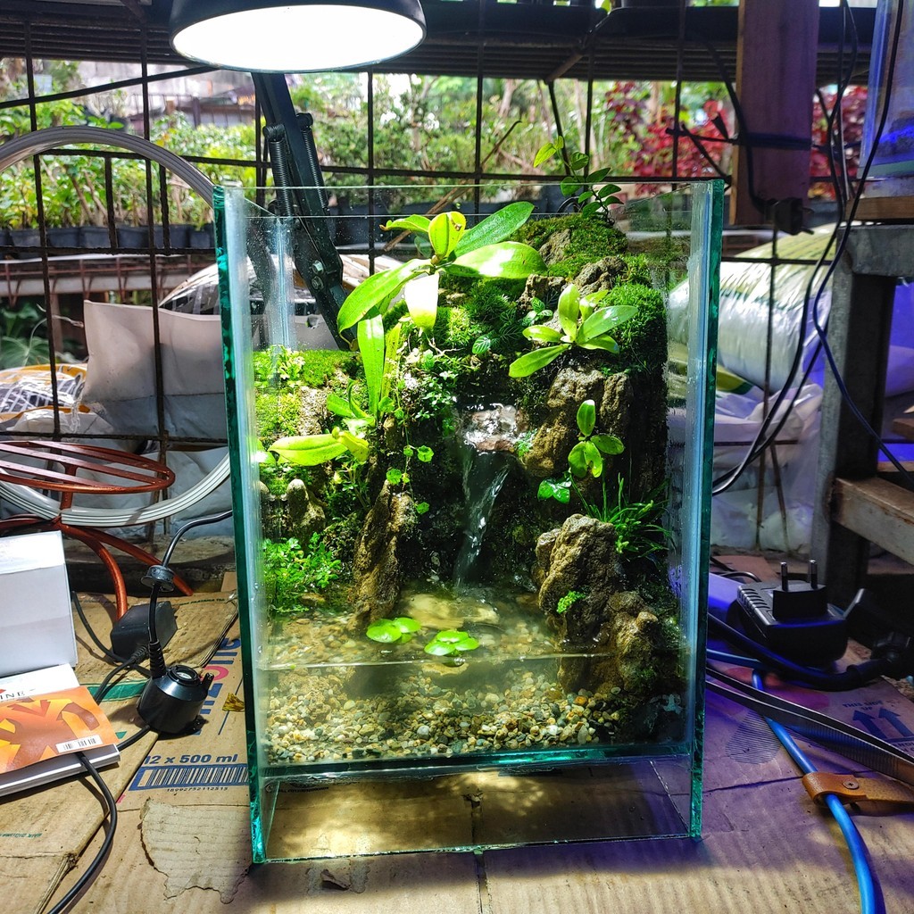 Paludarium -  Fullset Aquarium Mini Waterfall Air Terjun Vivarium Terrarium Kaca Vertical Landscape 