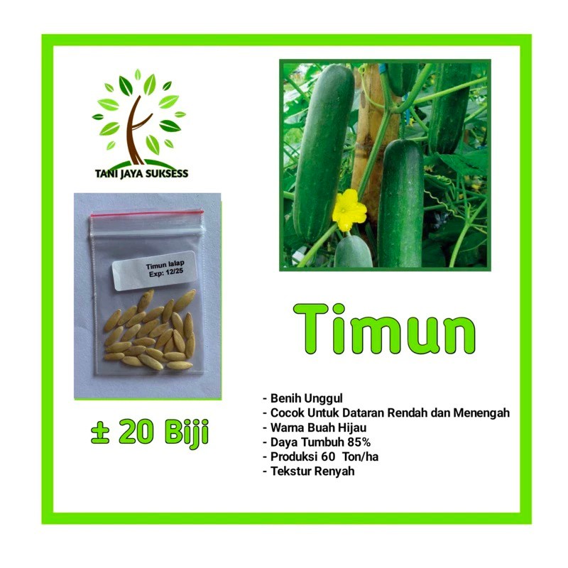 30 Benih Timun Lalap Benih Timun Lalap Unggul Berkualitas Bibit Timun Lalap