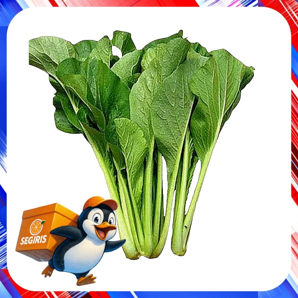 Sawi hijau segar 1 ikat organik