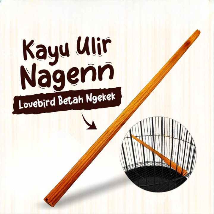 Tangkringan Pangkringan Kayu Ulir 60-65 cm Sangkar Burung Lovebird Kenari Kacer