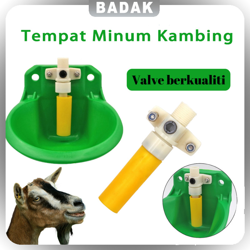 Tempat Minum Kambing/Bekas Minuman/Bekas Minuman Biri Biri Automatik / Auto Drinker Goat Sheep Anima