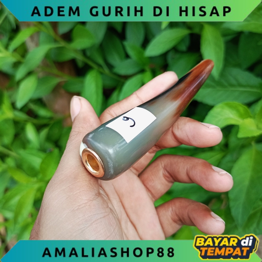 Cangklong pipa tanduk import tebal