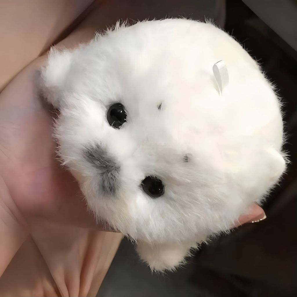 Ready-Gantungan Kunci Anjing Laut/Gantungan Kunci Anjing Laut Boneka