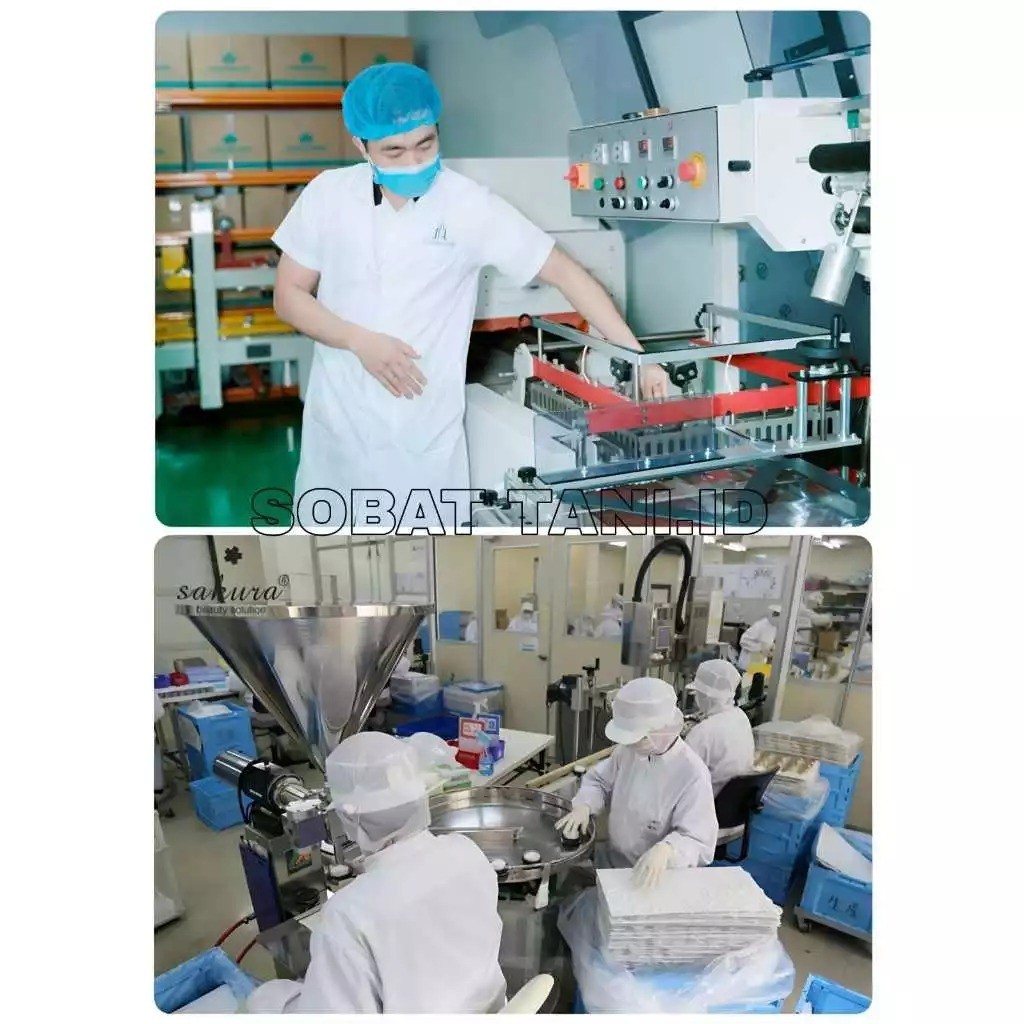 SALE1KG - Dasshu Z1000 Pupuk Organik Jepang Beli 5 Gratis 1TERMURAH