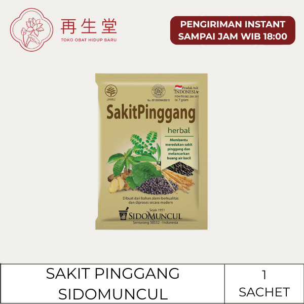 JAMU SAKIT PINGGANG SIDOMUNCUL 1'S