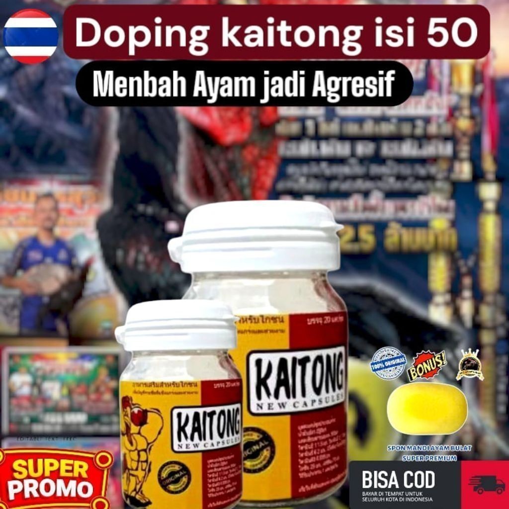 Mustika - DOPING Kaitong isi 50 membatu ayam sebelum laga menambah ayam jadi agresif dan menambah pu