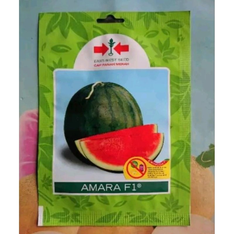 50 BENIH SEMANGKA MERAH NON BIJI AMARA F1