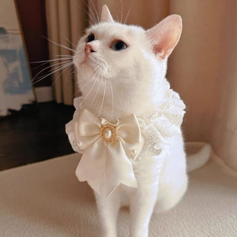 [Pet Wardrobe]Syal kucing lucu baru, celemek Natal, syal boneka renda, dan syal anjing peliharaan