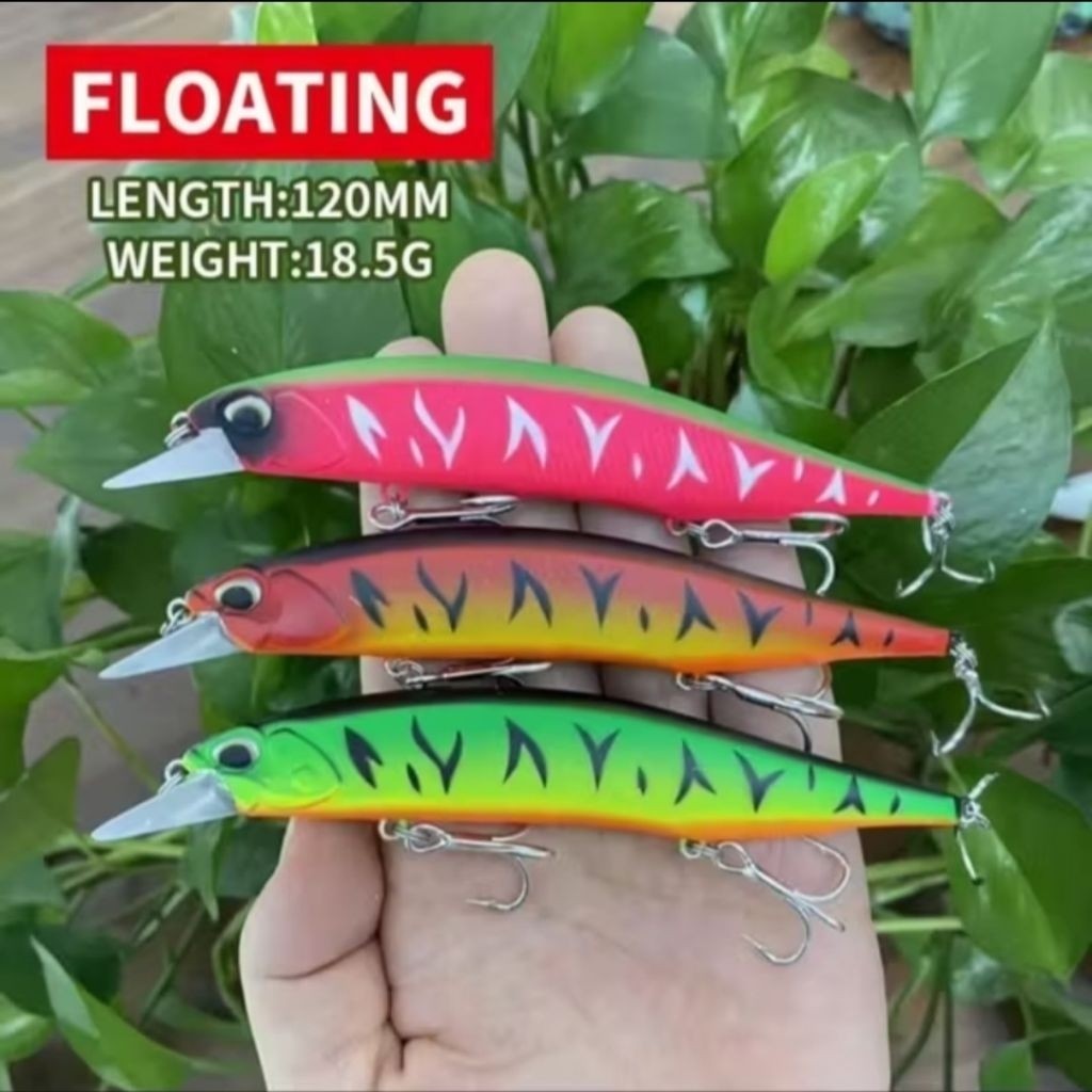 Minnow Jerkbait Floating 12cm