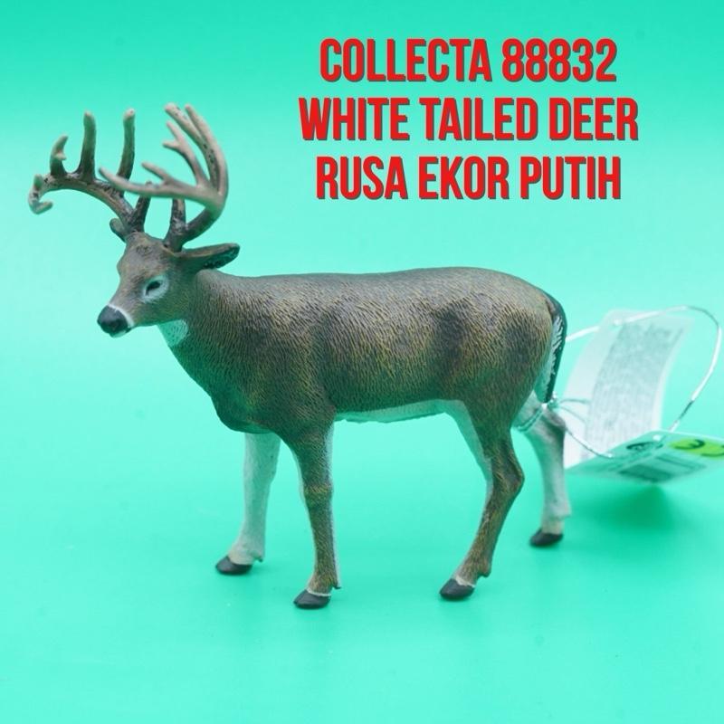 Collecta 88832 White Tailed Deer Buck Rusa Ekor Putih Jantan Odocoileus Virginianus | Mainan Figure 