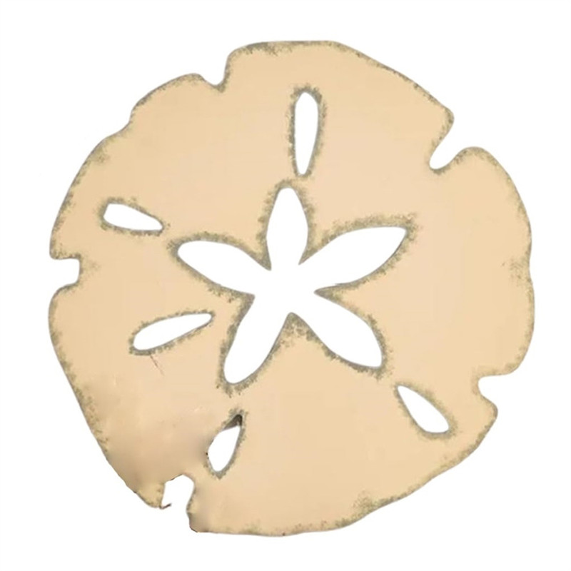 AD-Wall Decor Sand Dollar Wall Decor Wood Round Sand Dollar Wall Art Outdoor Beach Decor Hanging Dec