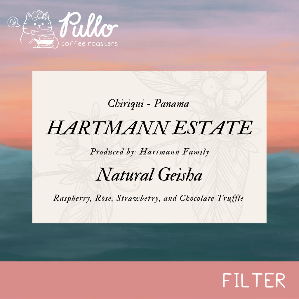 Panama Hartmann Estate Natural Geisha - Filter Specialty Coffee Beans
