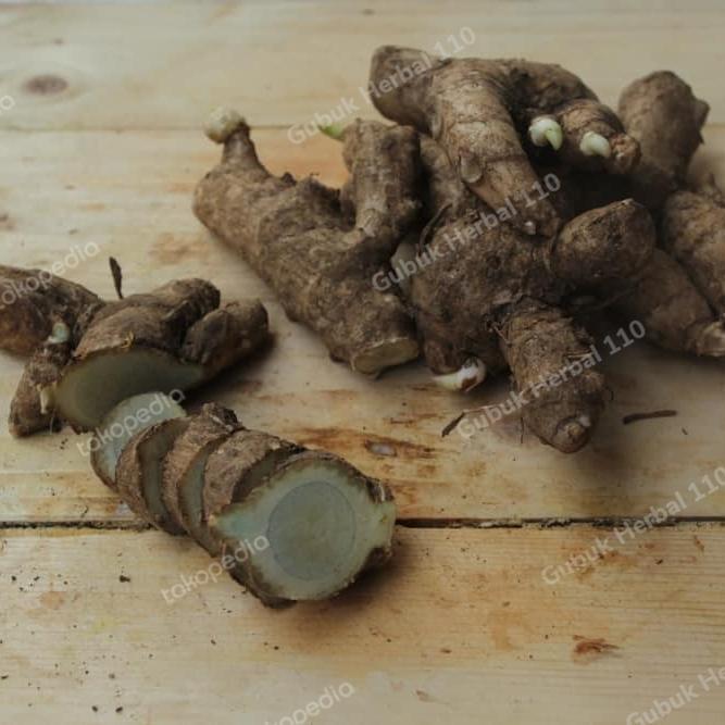 Temu Hitam/Temu Ireng 1kg  DM