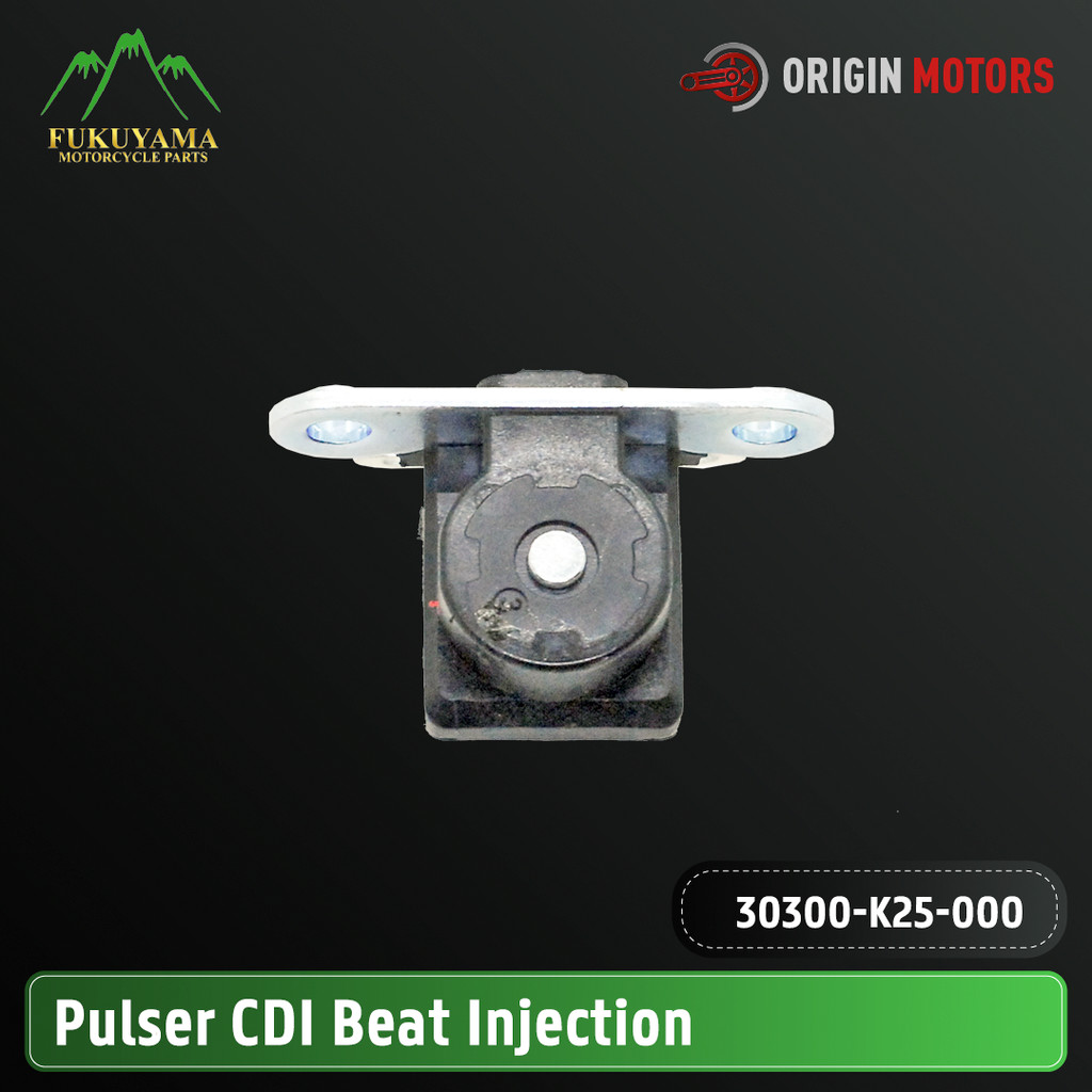 Fukuyama Pulser CDI Beat FI