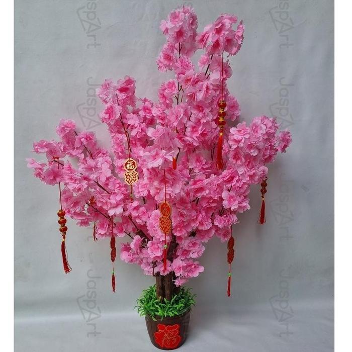 POHON SAKURA JEPANG MEI HUA SIZE BESAR POHON SAKURA MEI HUA PREMIUM 1 METER POHON IMLEK BUNGA IMLEK