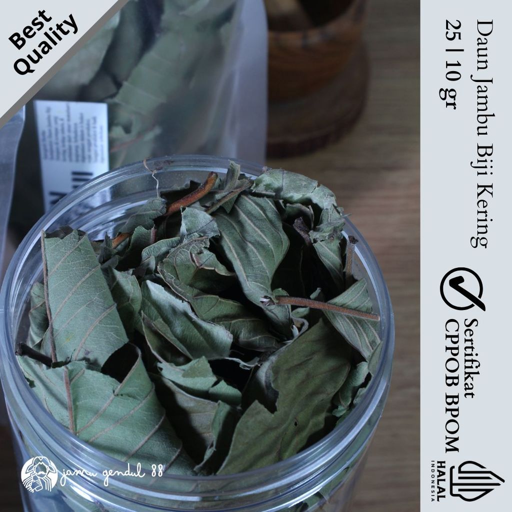 Daun Jambu Biji Kering - Teh Daun Jambu Biji