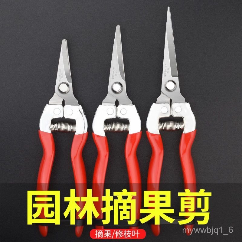 Pruning Shears Fruit Picking Tool Multifunctional Gardening Fruit Picking Floral Shears Pruning Shea