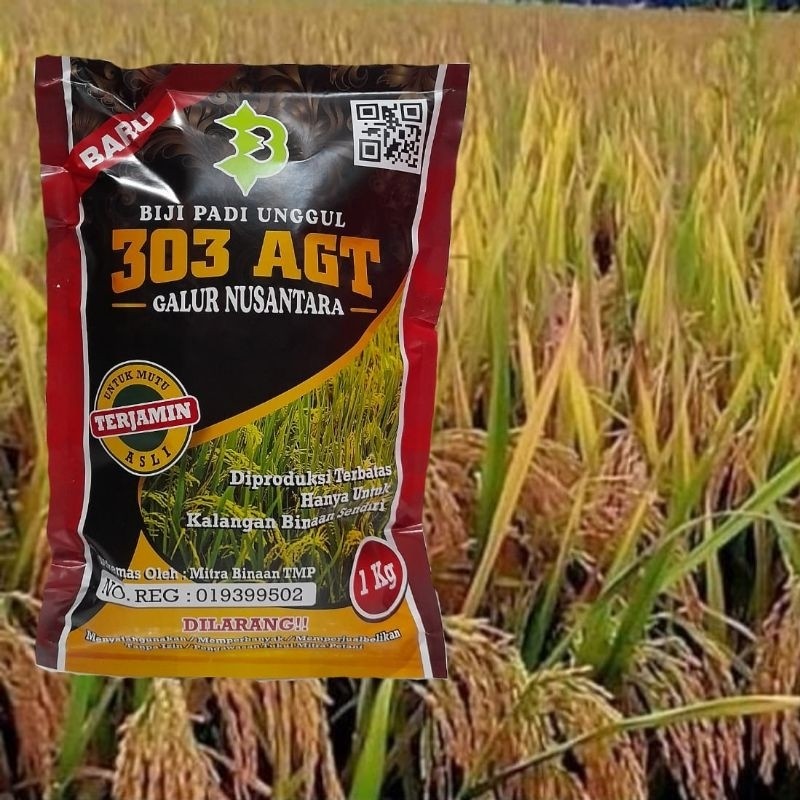 SALEBiji Padi Unggul AGT 303 /  Padi 303 AGT / Kemasan 1 KilogramTERMURAH