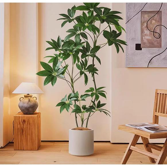 Pohon Ficus/ Karet Kebo / Ficus Elastica artificial Tinggi 160CM dekorasi rumah / CZ-32