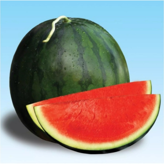 SEMANGKA 30 Biji / Benih / bibit SEMANGKA MERAH NON BIJI - SEMANGKA UNGGULAN - Seed buah - bibit say